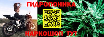 гашик Нальчик