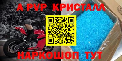 гашик Нальчик